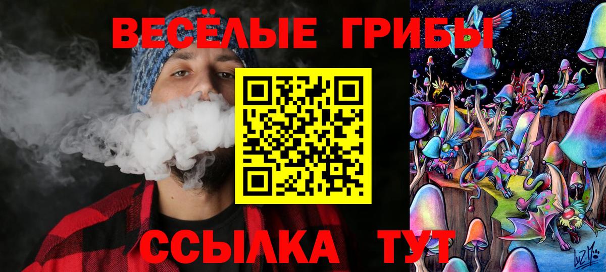 Галлюциногенные грибы GOLDEN TEACHER  Вход с VPN  Галлюциногенные грибы Magic Shrooms  Кингисепп 